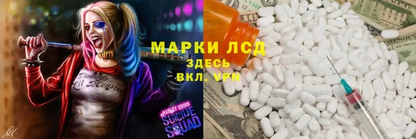 хмурый Арсеньев
