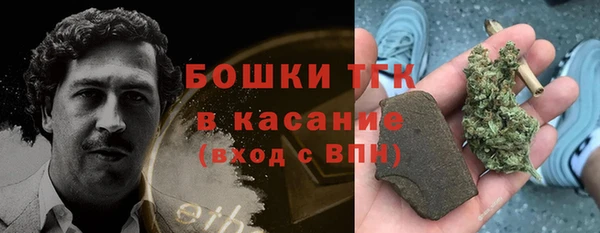 индика Армянск