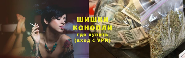 индика Армянск