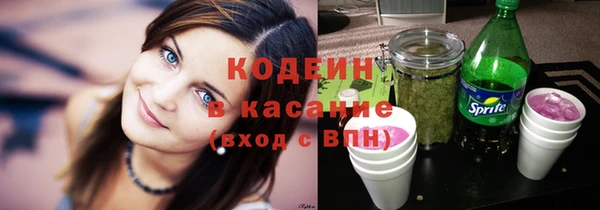 индика Армянск