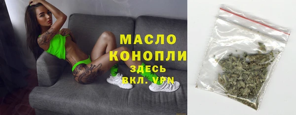 хмурый Арсеньев