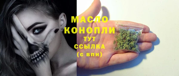 индика Армянск