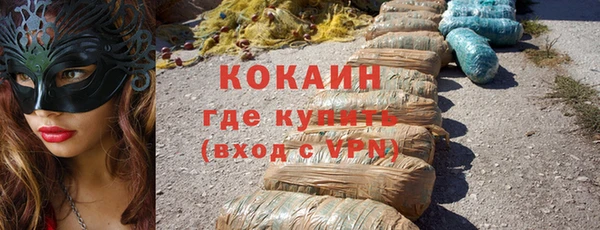 хмурый Арсеньев