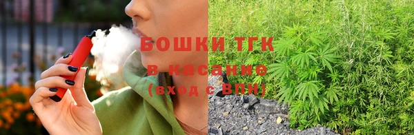 хмурый Арсеньев