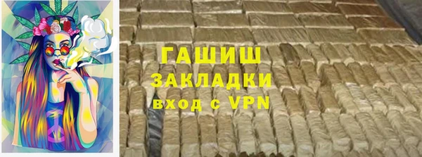 хмурый Арсеньев